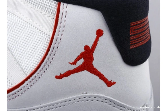378038-016 Platinum Jordan (GS)  Retro Tint 378038-016 11 0515